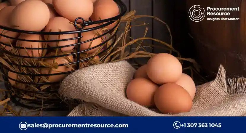 Egg Prices Exposed: Unveiling the Historical Chart, Index, and Future Forecast