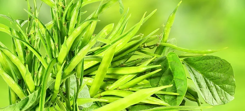 Guar Gum: Is This Food Additive Harmful or Helpful?