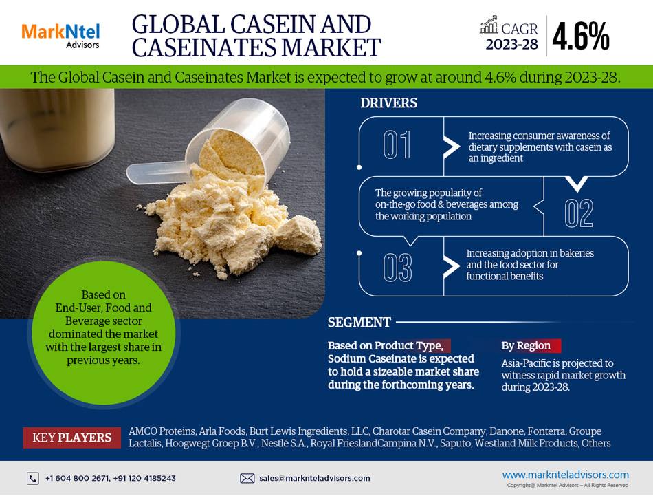 Casein and Caseinates Market: A Comprehensive Analysis Exploring Growth Opportunities by 2028