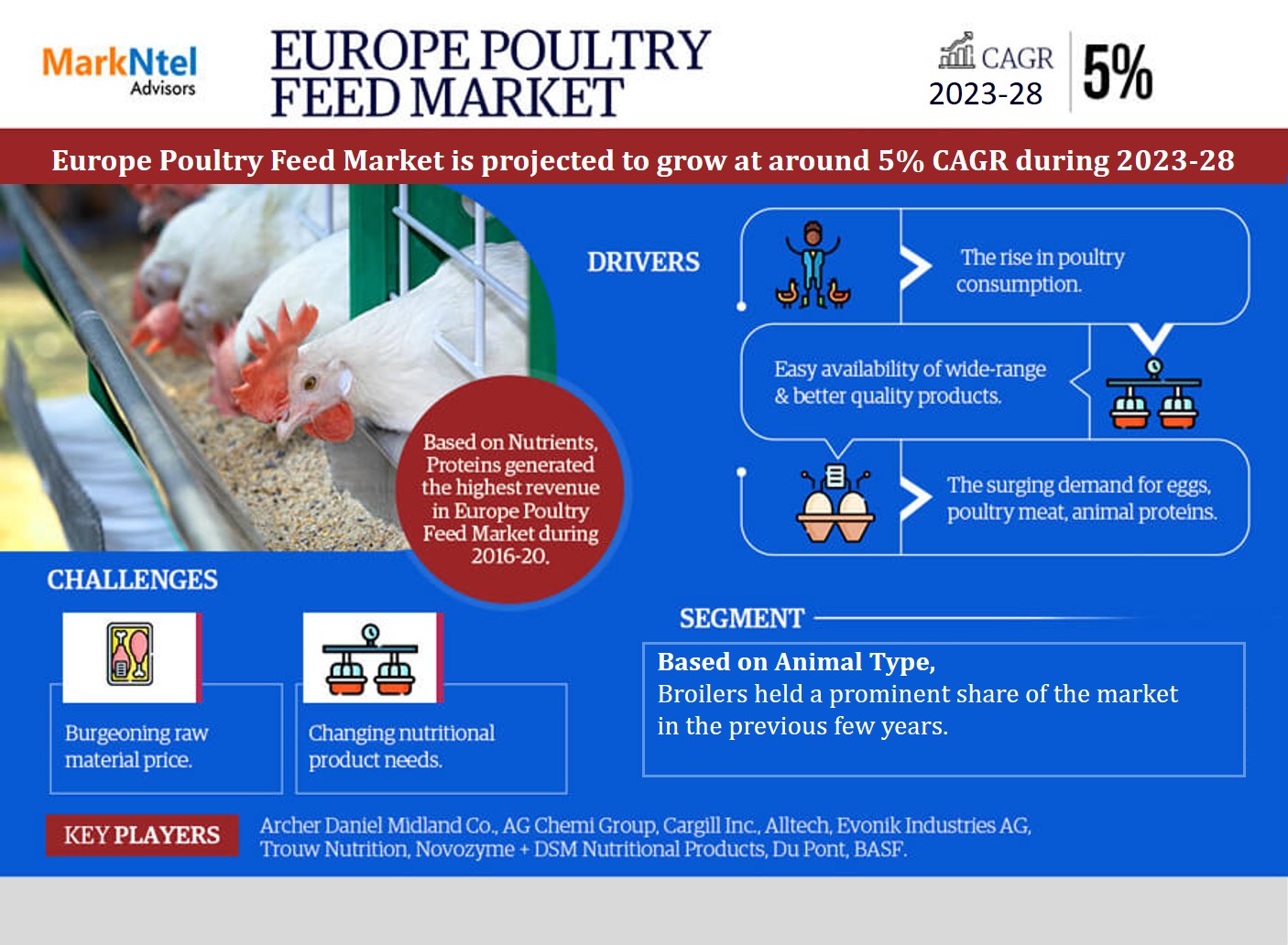 Europe Poultry Feed Market Statistics Demand Revenue, Revenue Share, Business Insights, Forecast By 2028  Europe Poultry Feed Market Size, Share, Growth and Trends, Value, Forecast (2023-2028)