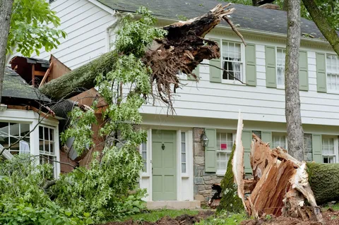 Comprehensive Guide to Storm Damage Restoration