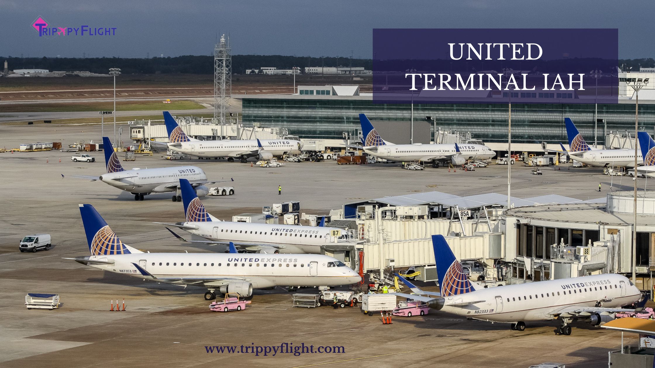 United Terminal IAH | Trippy Flight
