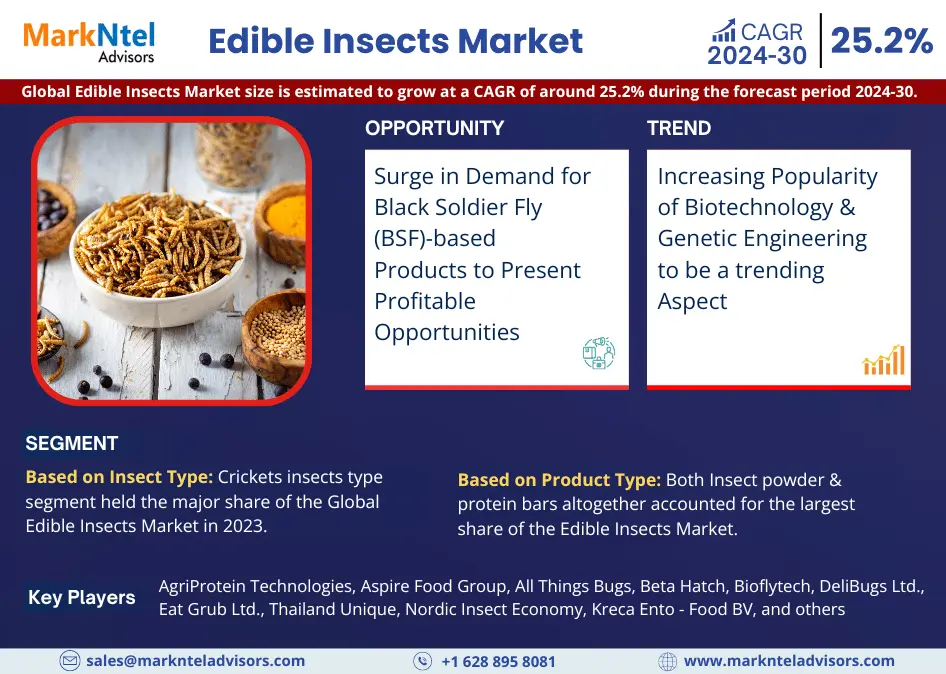 global edible insects market