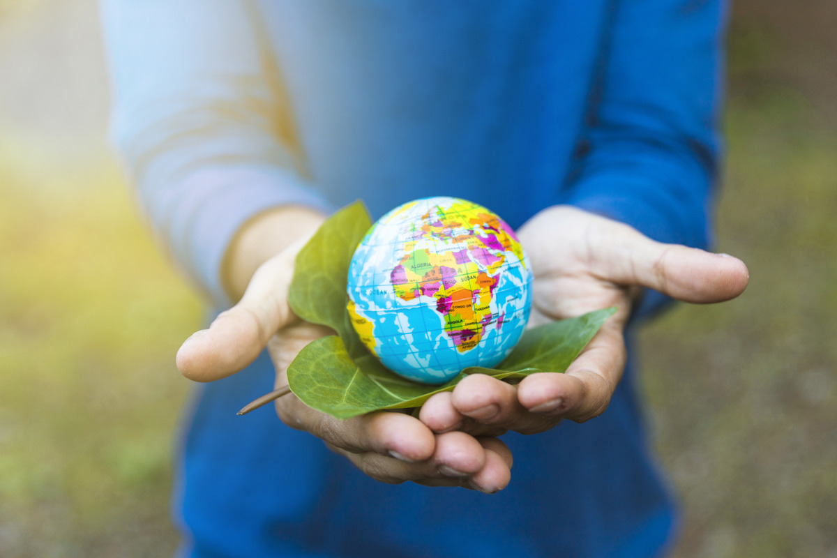 The Importance of Sustainability in Today’s World: An In-Depth Look