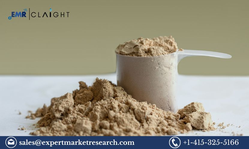 Whey Protein Market Trends, Size, Share and Industry Report 2024-2032