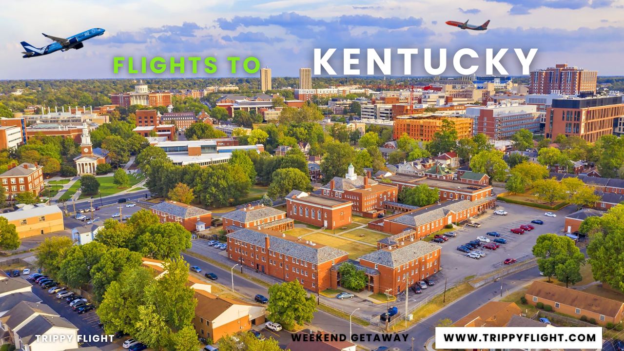 Flights To Kentucky | Trippy Flight