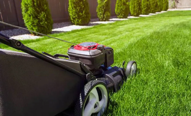 Transforming Outdoor Spaces with Professional Landscaping Services